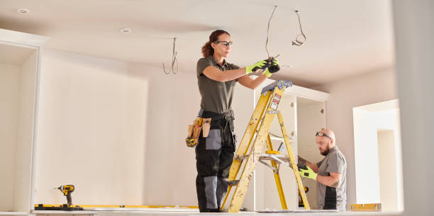 Best Electric Panel Repair  in Maroa, IL